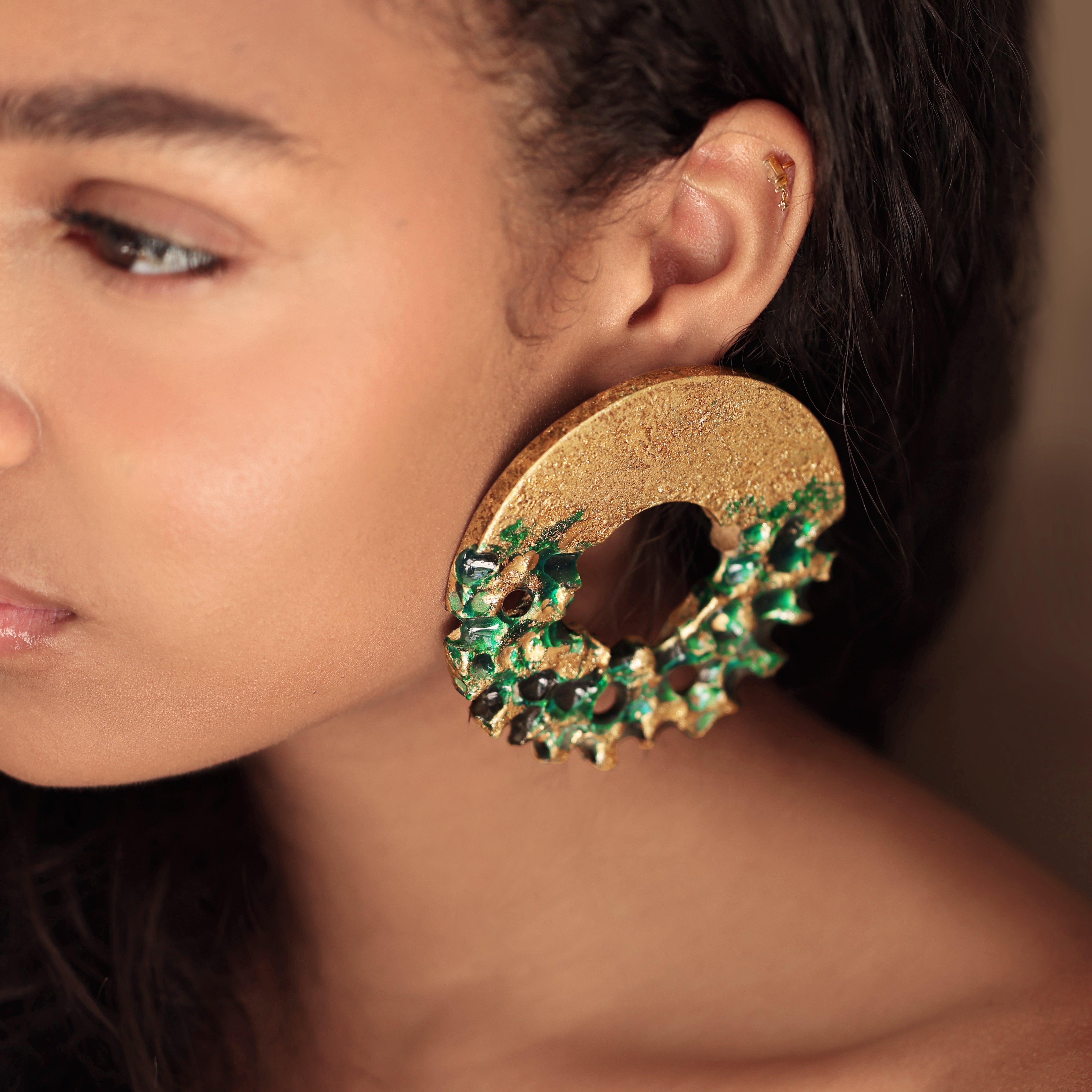 Earrings